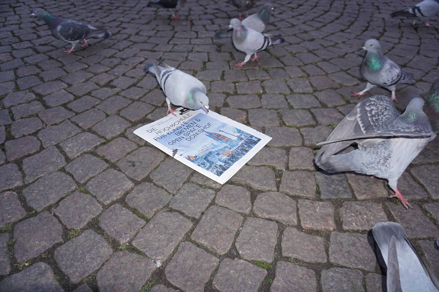 The Influencers Taubenheim